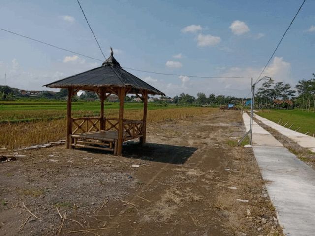 place photo 1