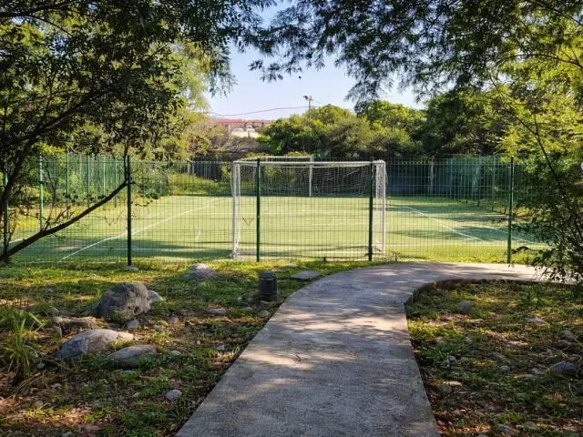 place photo 19