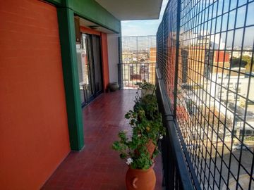 place photo 24