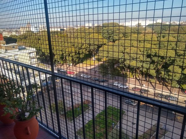 place photo 23