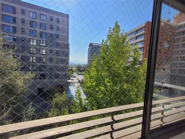 place photo 26