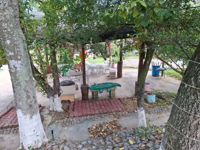 place photo 14