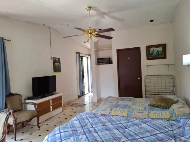 place photo 21