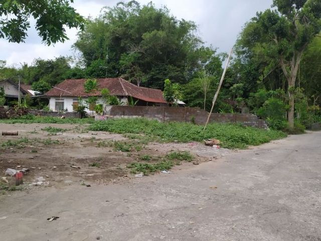 place photo 3
