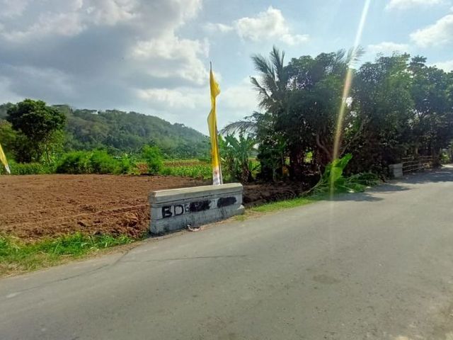 place photo 5