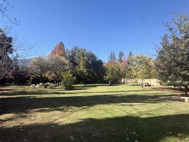 place photo 34