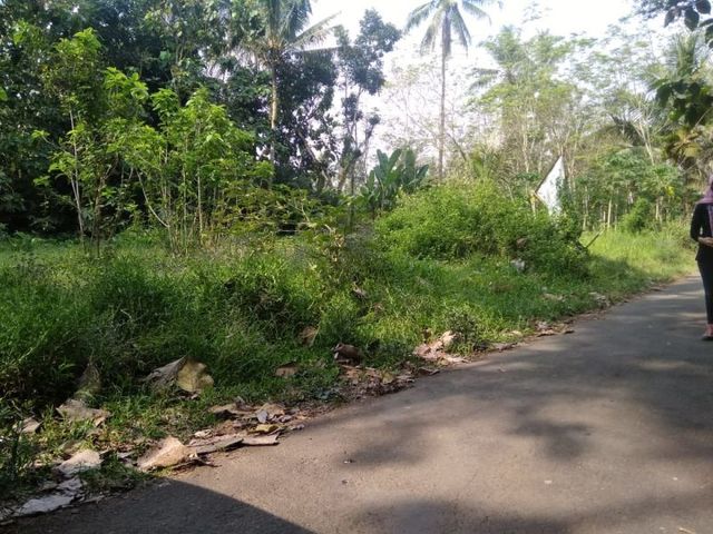 place photo 4