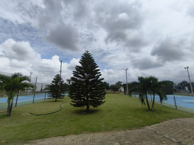 place photo 24