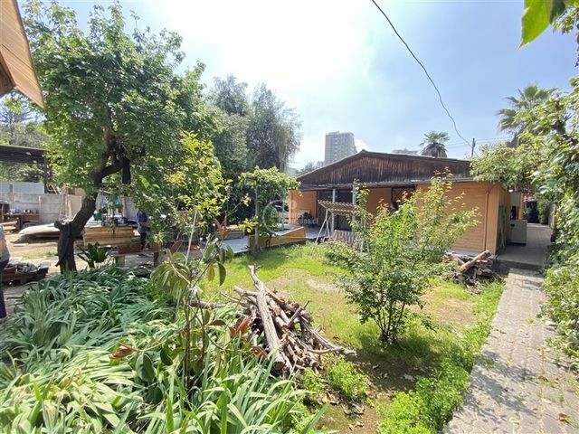 place photo 26
