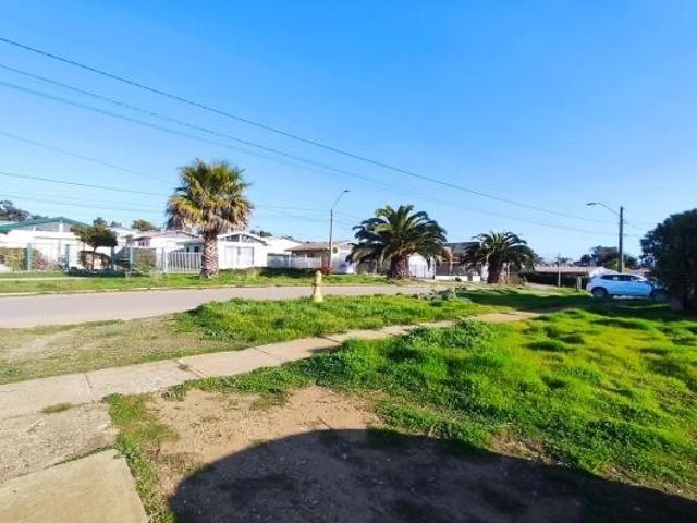 place photo 25