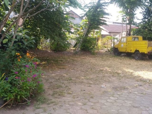 place photo 3