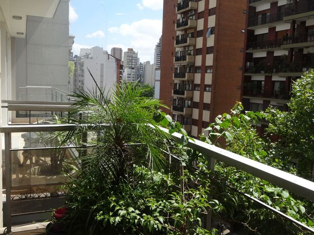 place photo 24