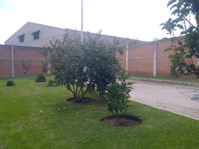 place photo 1