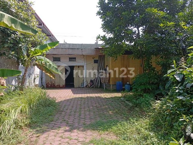 place photo 23