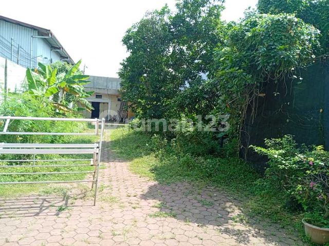 place photo 25