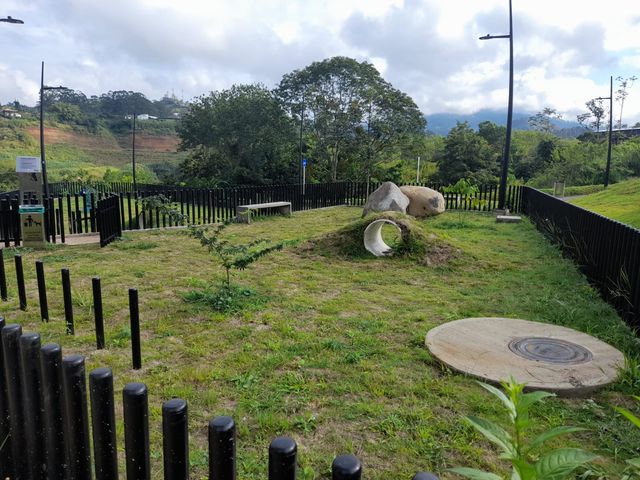 place photo 21