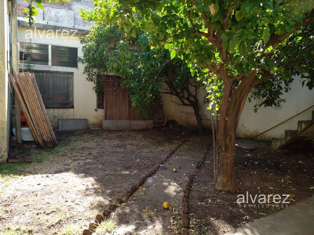 place photo 11