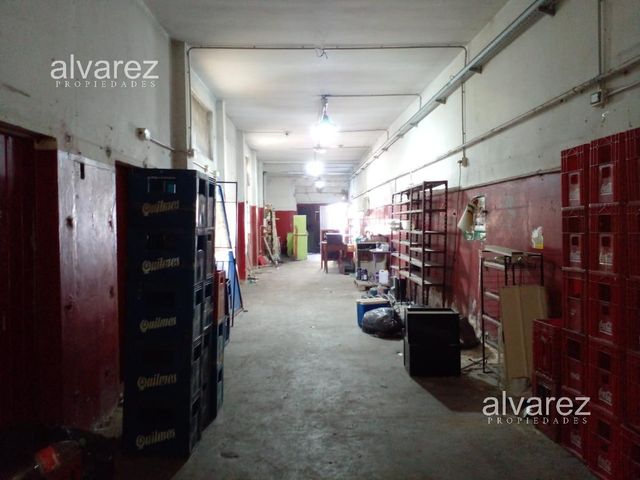 place photo 17