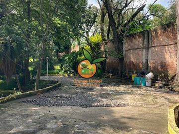 place photo 18