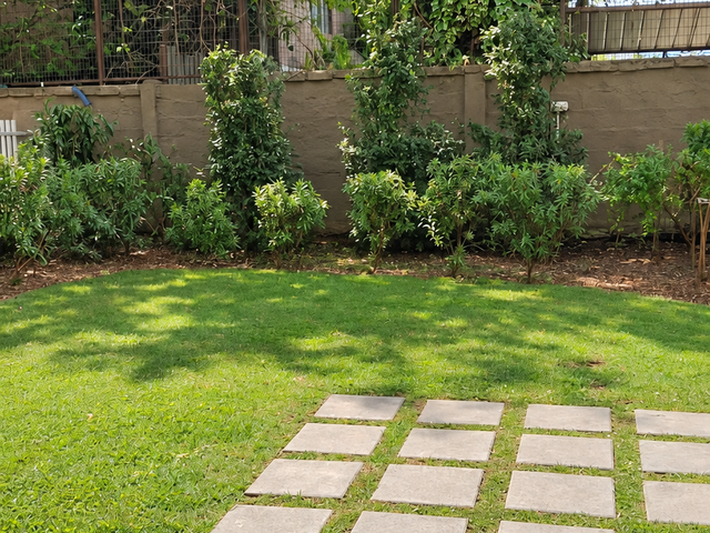 place photo 21