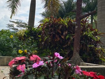 place photo 23