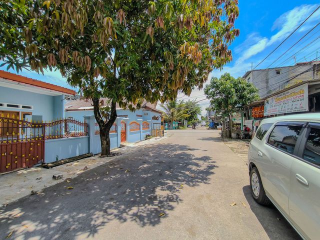 place photo 45