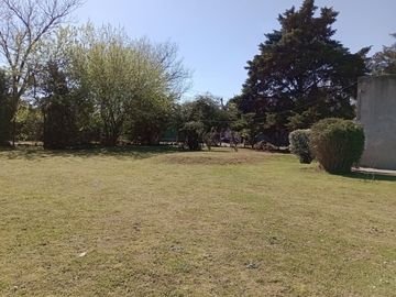 place photo 27
