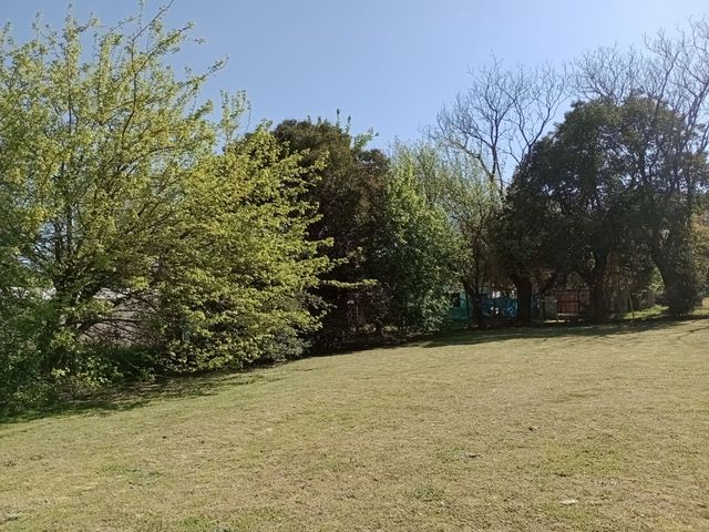place photo 25