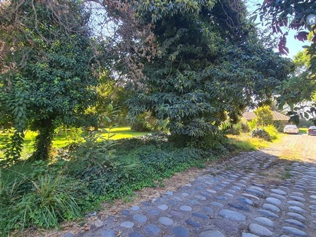 place photo 39