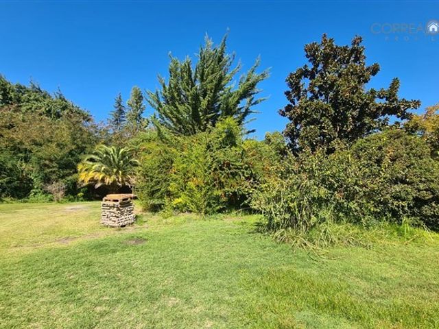 place photo 32