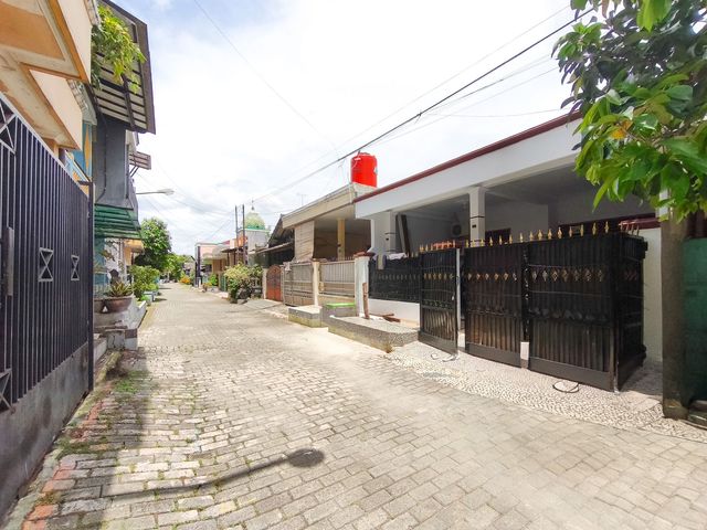 place photo 14