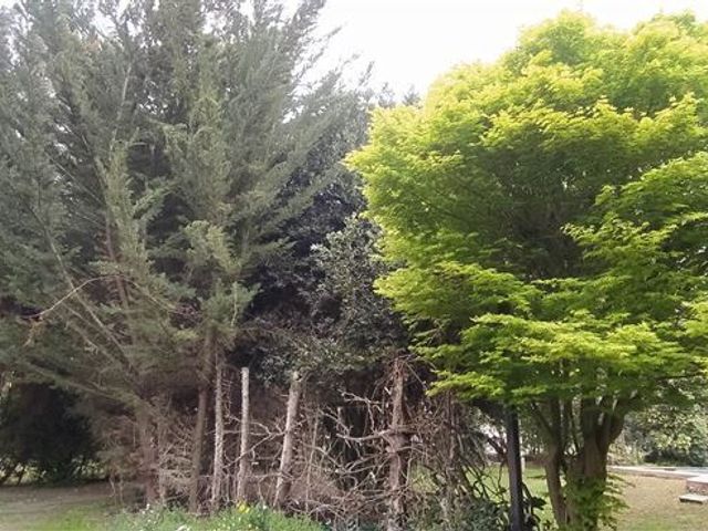 place photo 25