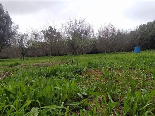 place photo 23
