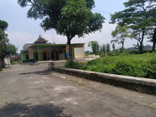 place photo 4