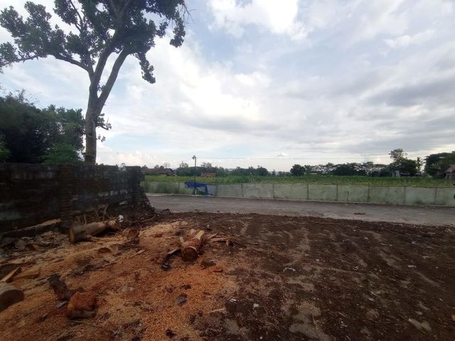 place photo 6