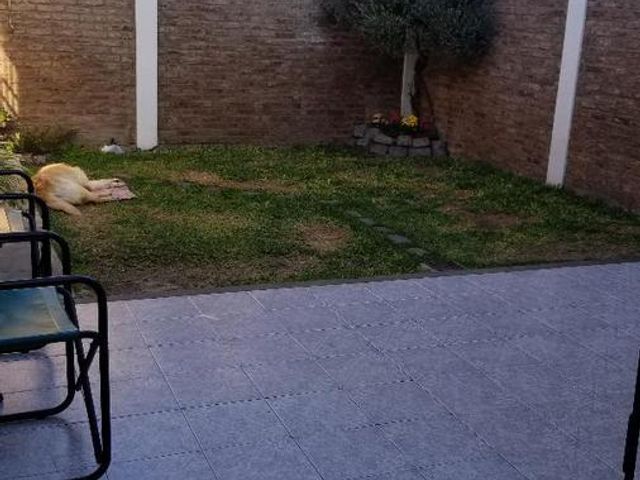 place photo 27