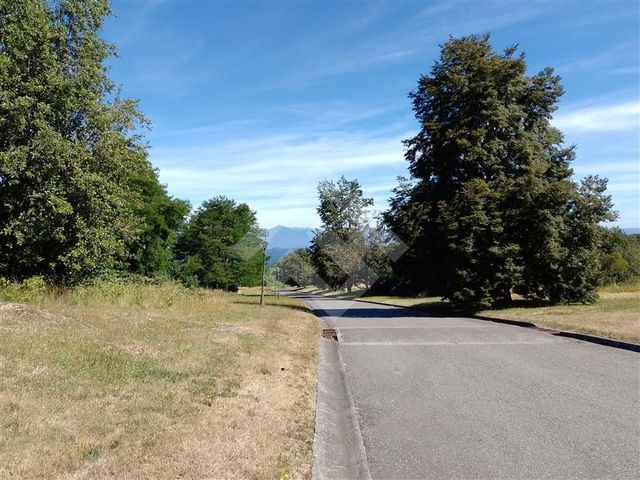 place photo 55