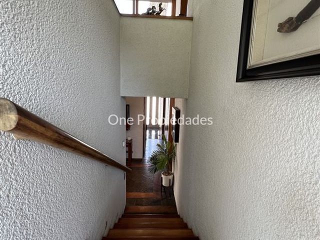 place photo 50