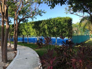 place photo 12