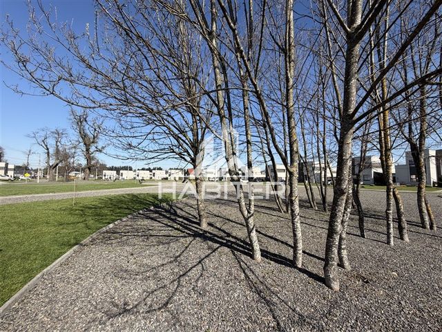 place photo 55