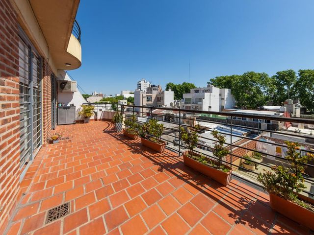 place photo 17
