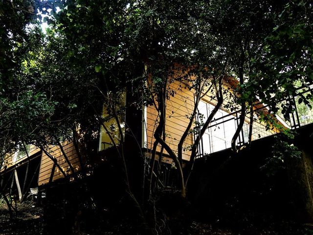 place photo 26
