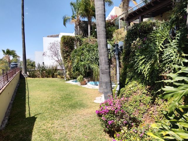 place photo 37