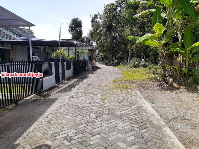 place photo 2