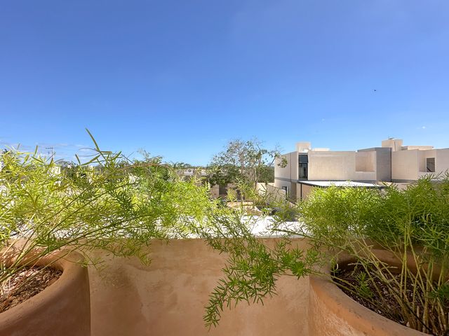 place photo 38