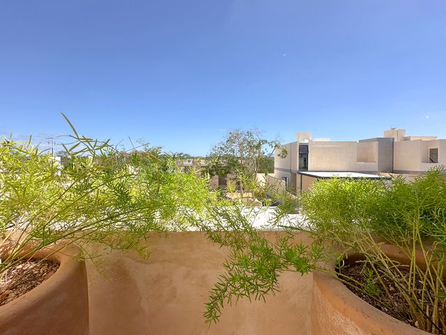 place photo 36