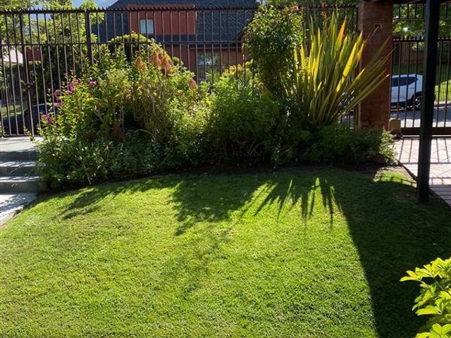 place photo 33