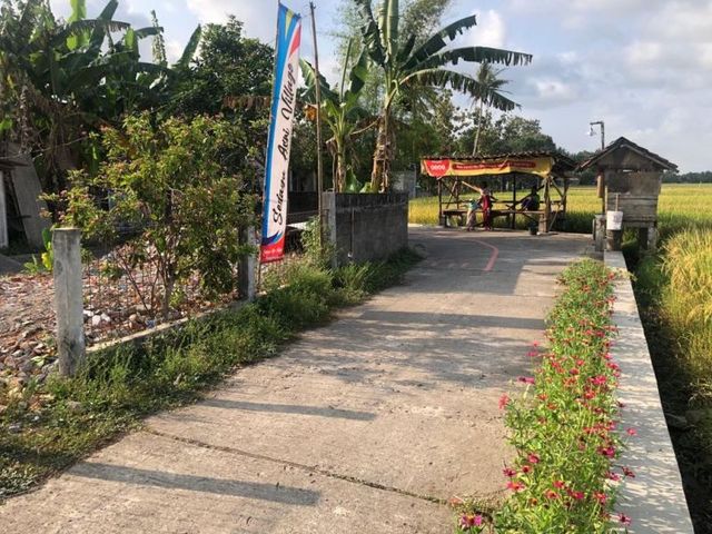 place photo 3