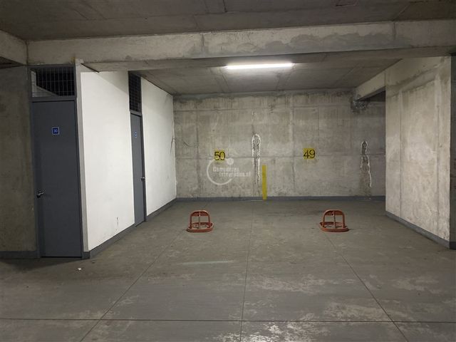 place photo 35