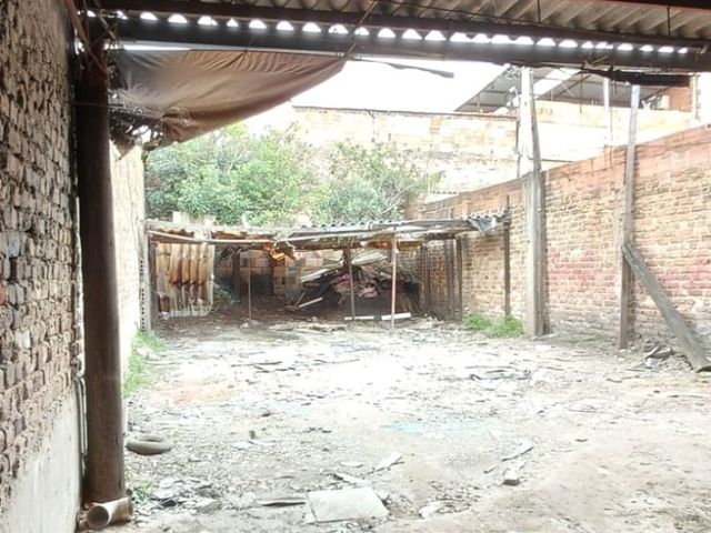 place photo 16